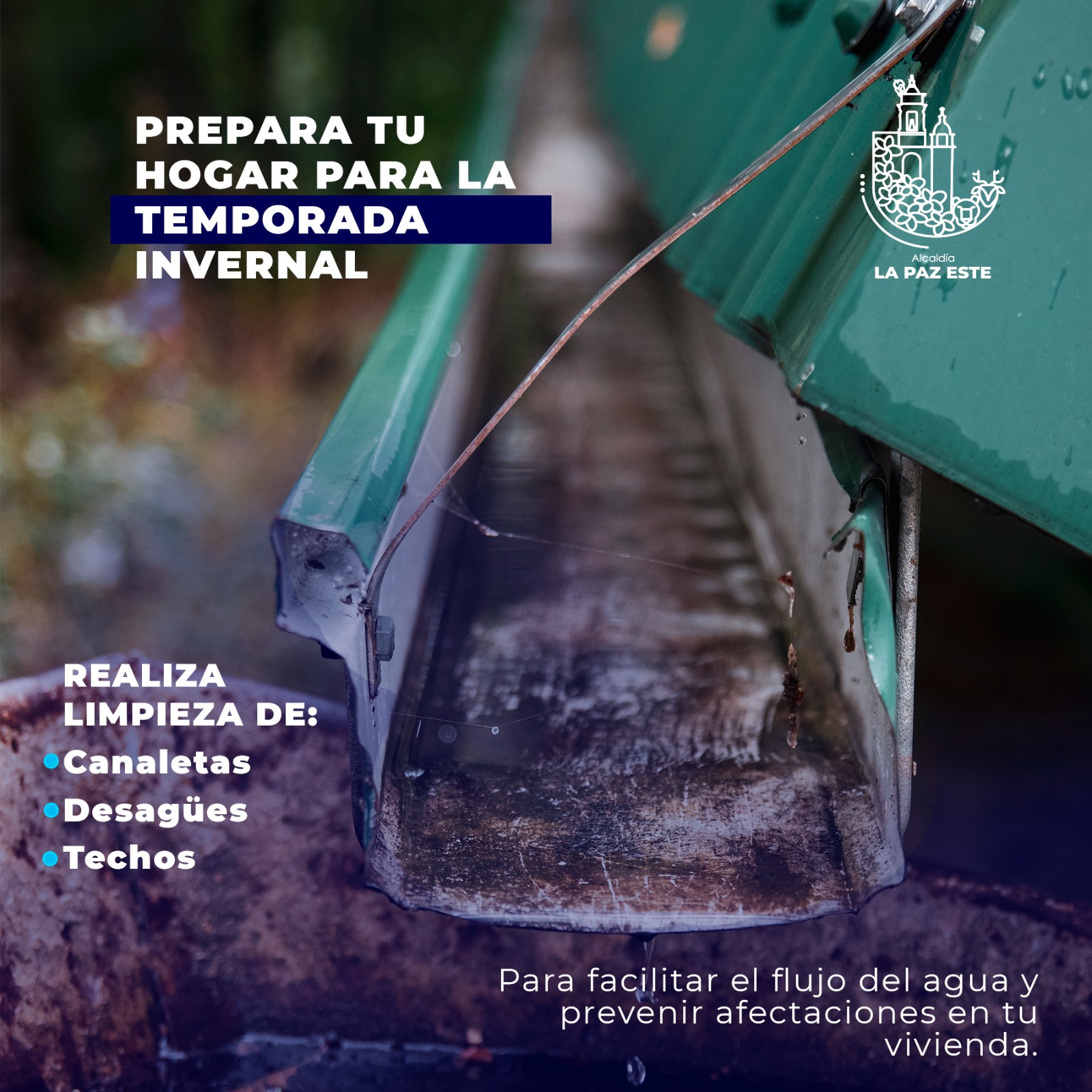 No arrojes basura en las calles